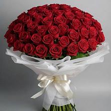 Букет 101 Красная роза Блэк Мэджик в Чапаевске