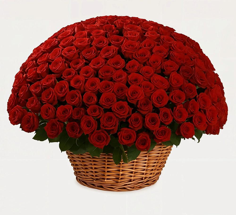 Премиум букет из: Розы в Чапаевске