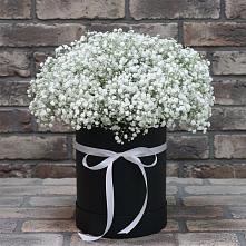 Цветочная композиция из Гипсофила в шляпной коробке в Чапаевске