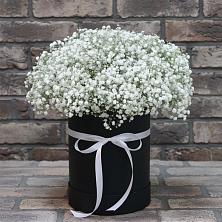 Цветочная композиция из Гипсофила в шляпной коробке в Чапаевске